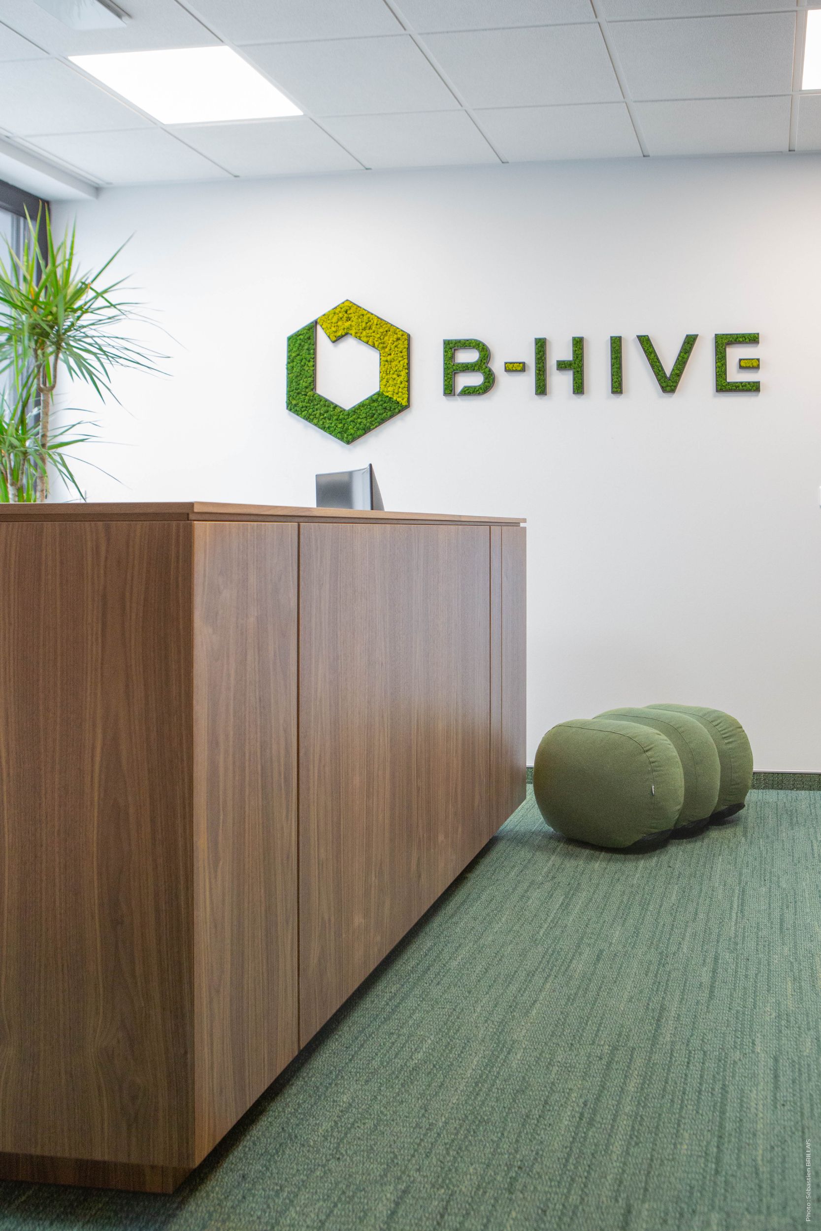 Accueil B-Hive