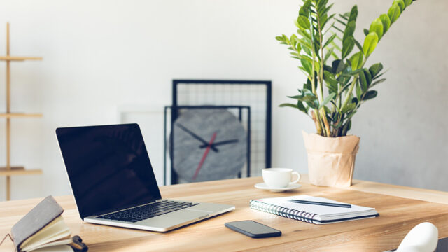Bureau avec PC et plante verte